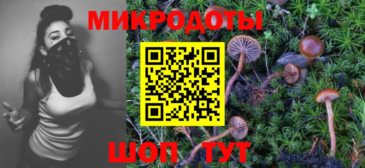Галлюциногенные грибы прущие грибы Когалым