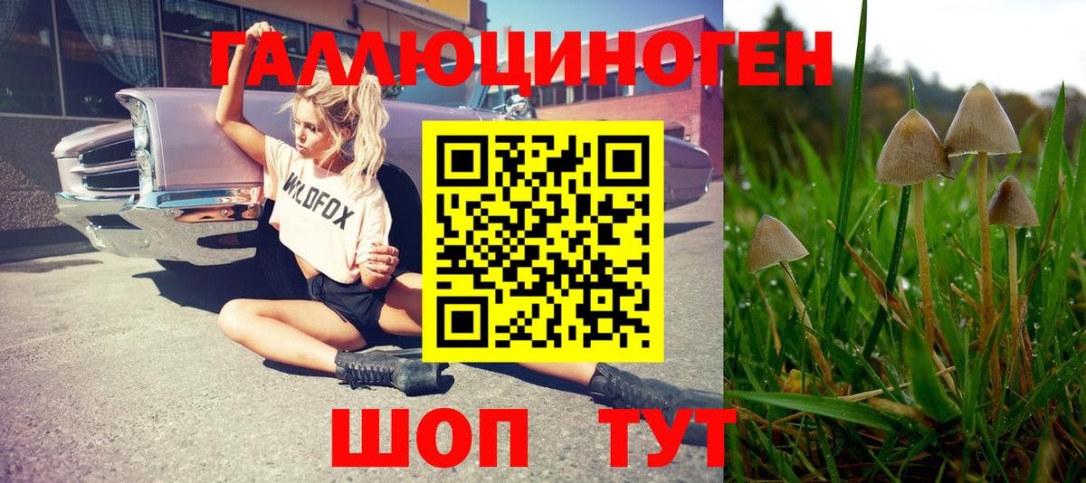 Когалым  Галлюциногенные грибы мицелий  Вход с VPN  Псилоцибиновые грибы прущие грибы 